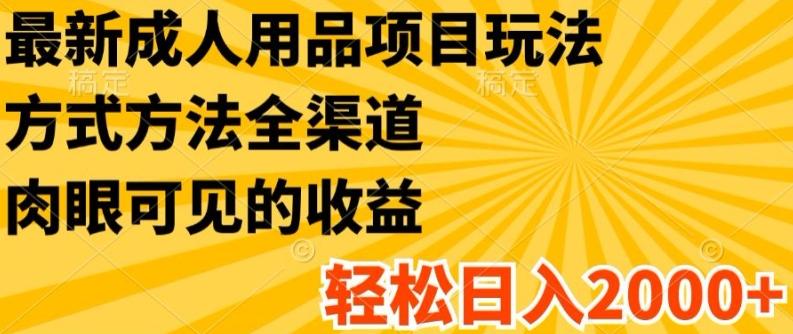 最新成人用品项目玩法，方式方法全渠道，轻松日入2K+【揭秘】-星禾网创星球