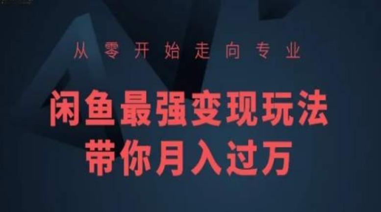 从零开始走向专业，闲鱼最强变现玩法带你月入过万-星禾网创星球
