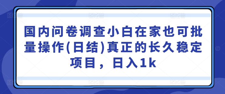 国内问卷调查小白在家也可批量操作(日结)真正的长久稳定项目，日入1k【揭秘】-星禾网创星球