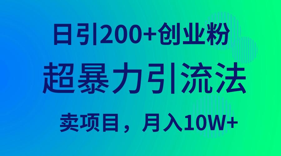 (9654期)超暴力引流法，日引200+创业粉，卖项目月入10W+-星禾网创星球