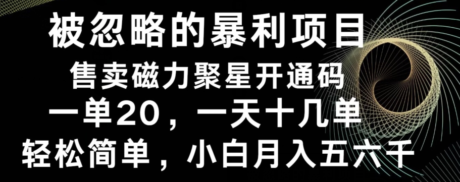 被忽略的暴利项目！售卖磁力聚星开通码，一单20，一天十几单，轻松月入五六千-星禾网创星球