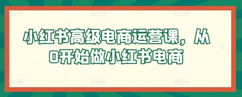 小红书高级电商运营课，从0开始做小红书电商-星禾网创星球