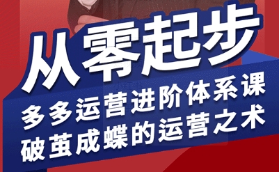 拼多多运营进阶系统课，从零起步，多多运营进阶体系课，破茧成蝶的运营之术(更新9月)-星禾网创星球