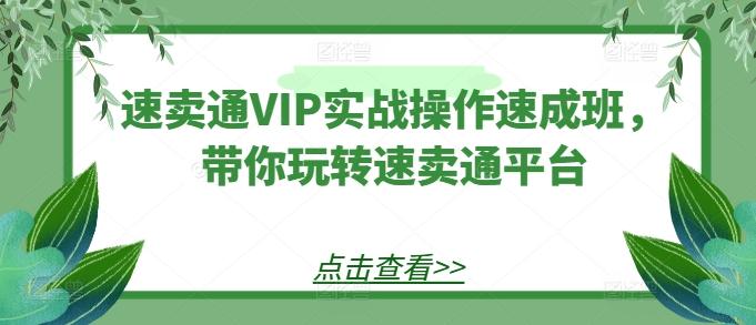 速卖通VIP实战操作速成班，带你玩转速卖通平台-星禾网创星球