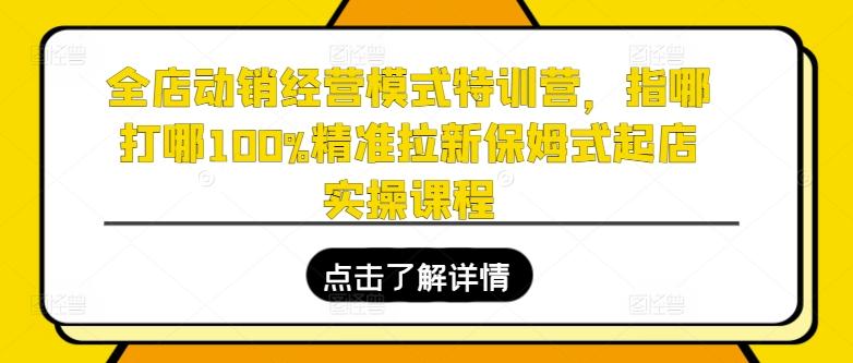 全店动销经营模式特训营，指哪打哪100%精准拉新保姆式起店实操课程-星禾网创星球