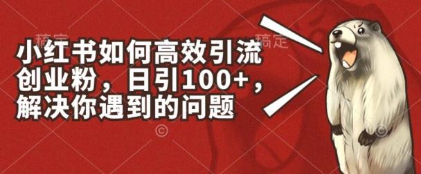 小红书如何高效引流创业粉，日引100+，解决你遇到的问题【揭秘】-星禾网创星球