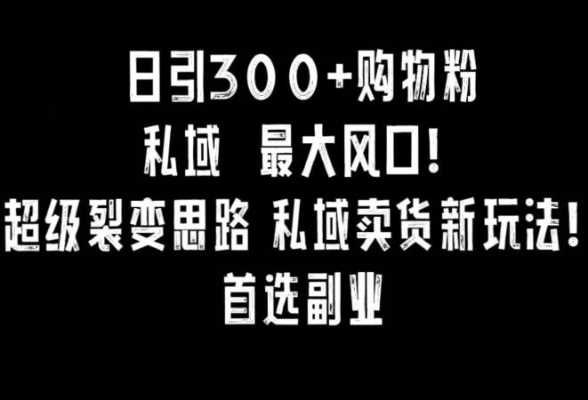 日引300+购物粉，超级裂变思路，私域卖货新玩法，小红书首选副业【揭秘】-星禾网创星球