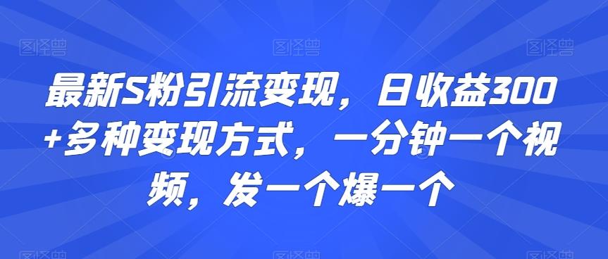 最新S粉引流变现，日收益300+多种变现方式，一分钟一个视频，发一个爆一个【揭秘】-星禾网创星球