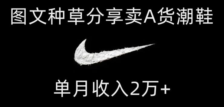 靠图文种草分享卖A货潮鞋，每天一小时，单月收入2万+【揭秘】-星禾网创星球