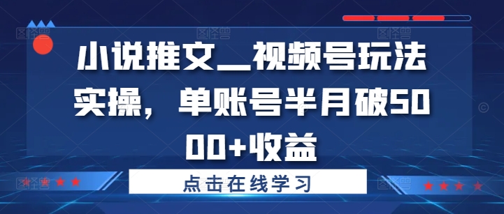 小说推文—视频号玩法实操，单账号半月破5000+收益-星禾网创星球