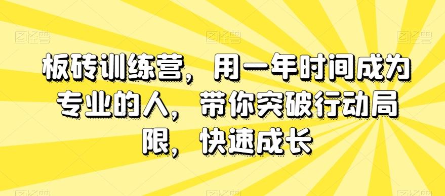 板砖训练营，用一年时间成为专业的人，带你突破行动局限，快速成长-星禾网创星球