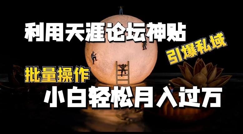 利用天涯论坛神贴，引爆私域，批量操作，小白轻松月入过w【揭秘】-星禾网创星球