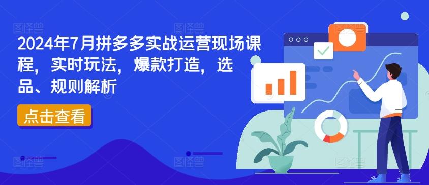 2024年7月拼多多实战运营现场课程，实时玩法，爆款打造，选品、规则解析-星禾网创星球