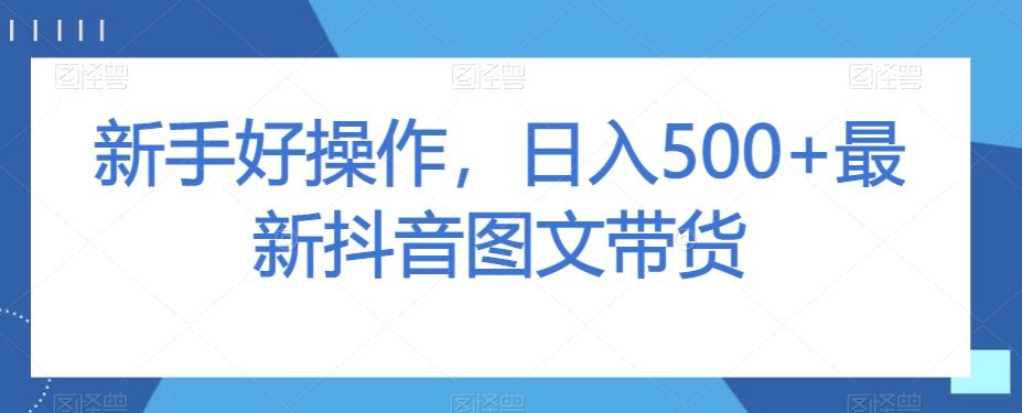 新手好操作，日入500+最新抖音图文带货【揭秘】-星禾网创星球