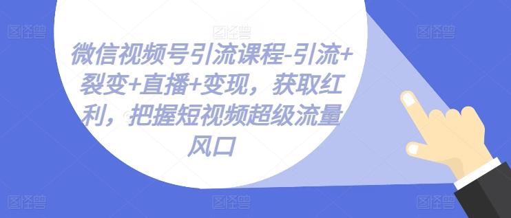 微信视频号引流课程-引流+裂变+直播+变现，获取红利，把握短视频超级流量风口-星禾网创星球