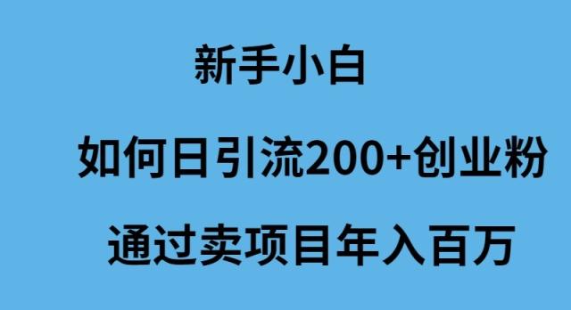 (9668期)新手小白如何日引流200+创业粉通过卖项目年入百万-星禾网创星球