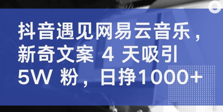 抖音遇见网易云音乐，新奇文案 4 天吸引 5W 粉，日挣1000+【揭秘】-星禾网创星球