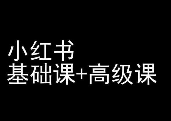 小红书基础课+高级课-小红书运营教程-星禾网创星球