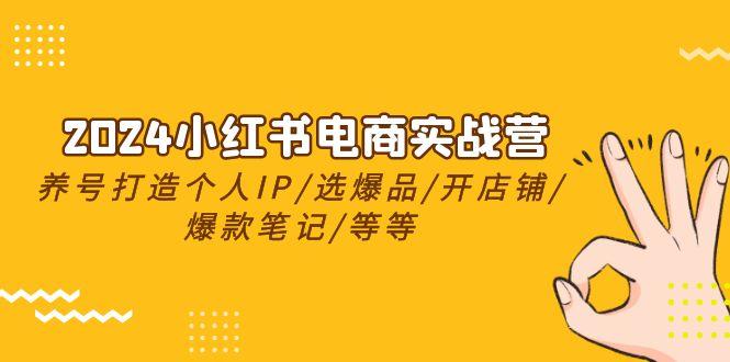 2024小红书电商实战营，养号打造IP/选爆品/开店铺/爆款笔记/等等(24节)-星禾网创星球