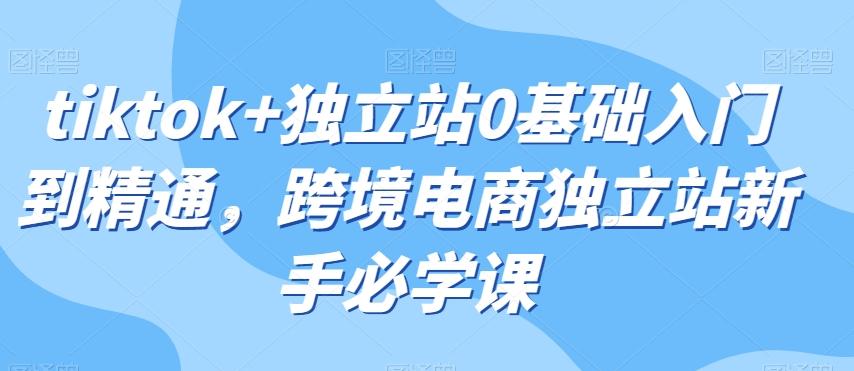tiktok+独立站0基础入门到精通，跨境电商独立站新手必学课-星禾网创星球