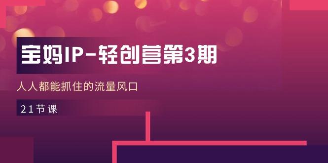 宝妈IP-轻创营第3期，人人都能抓住的流量风口(21节课-星禾网创星球