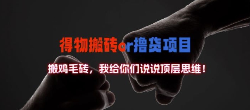 得物搬砖撸货项目?掰下数据，我给你们说说顶层思维【揭秘】-星禾网创星球