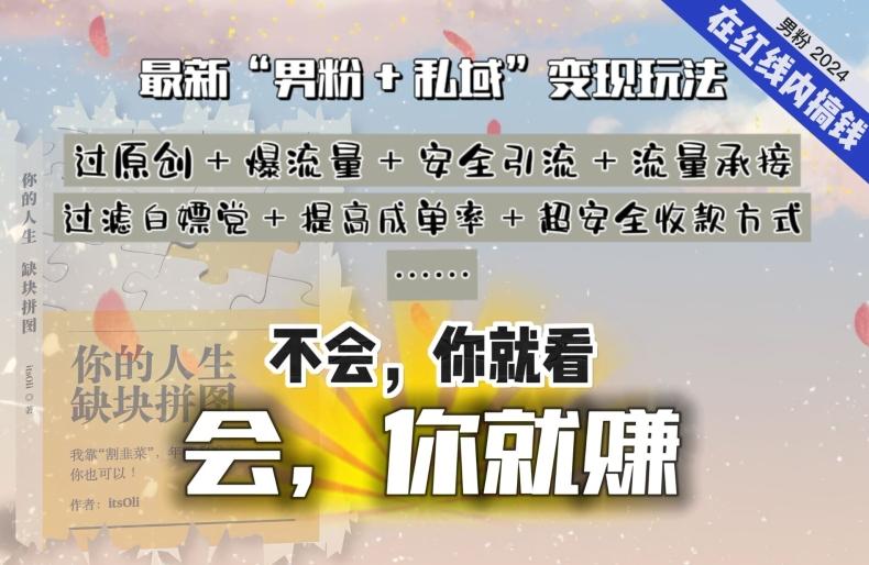 2024，“男粉+私域”还是最耐造、最赚、最轻松、最愉快的变现方式【揭秘】-星禾网创星球