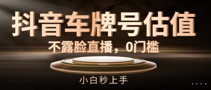 抖音车牌号估值，不露脸直播，0门槛，小白秒上手【揭秘】-星禾网创星球