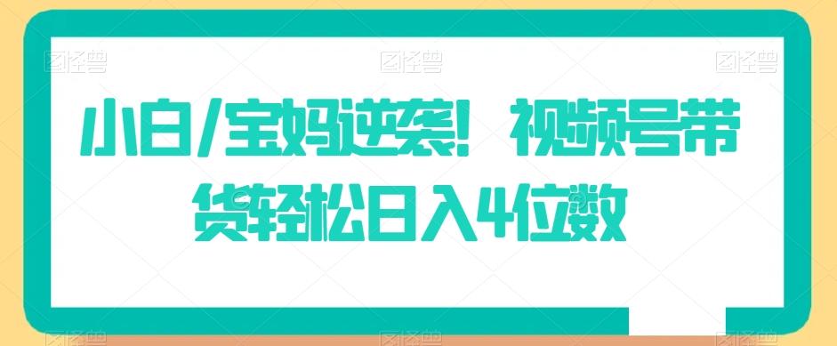 小白/宝妈逆袭！视频号带货轻松日入4位数【揭秘】-星禾网创星球