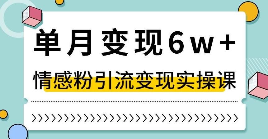 单月变现6W+，抖音情感粉引流变现实操课，小白可做，轻松上手，独家赛道【揭秘】-星禾网创星球