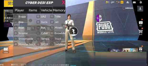 PUBG轻量老外裸奔绘制+自瞄 支持ROOT和框架 里面有全局离线-星禾网创星球