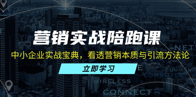 营销实战陪跑课：中小企业实战宝典，看透营销本质与引流方法论-星禾网创星球
