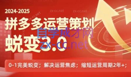 大力老师·2024拼多多运营策略蜕变3.0-星禾网创星球