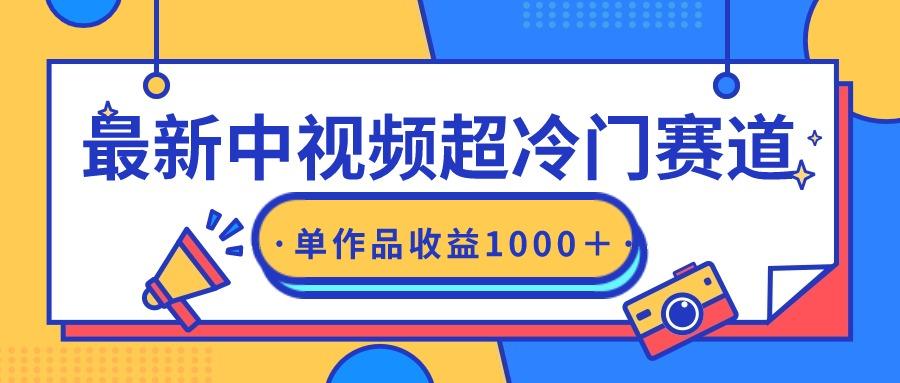 (9275期)最新中视频超冷门赛道，轻松过原创，单条视频收益1000＋-星禾网创星球