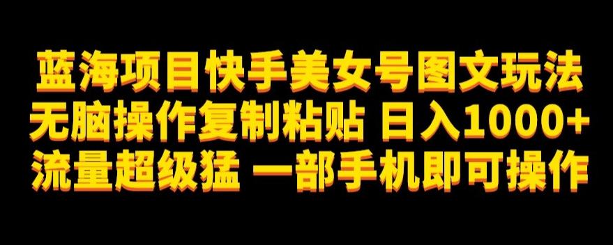 蓝海项目快手美女号图文玩法，无脑操作复制粘贴，日入1000+流量超级猛一部手机即可操作【揭秘】-星禾网创星球