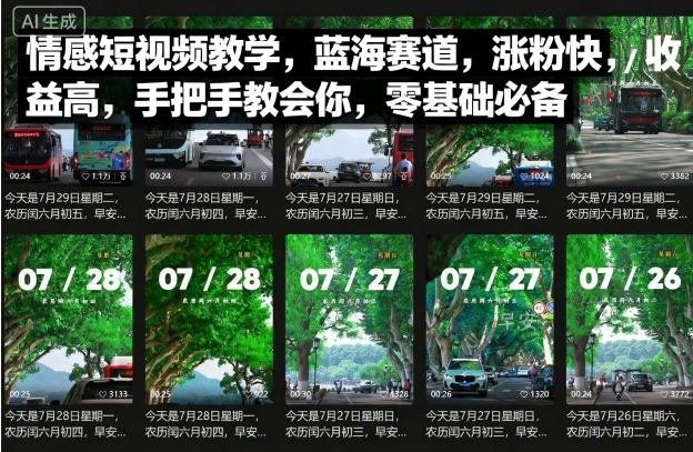 情感短视频教学，蓝海赛道，涨粉快，收益高，手把手教会你，零基础必备-星禾网创星球