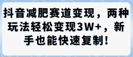 抖音减肥赛道变现，两种玩法轻松变现3W+，新手也能快速复制-星禾网创星球