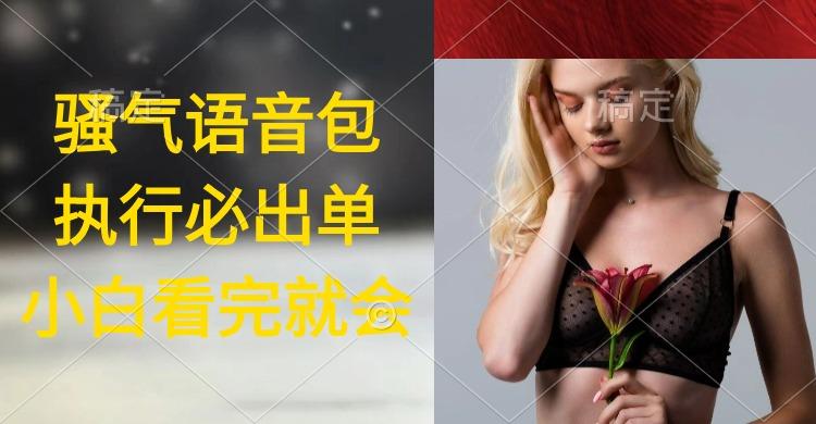 (9589期)执行就出单，日入2000+，超火骚气语音包，小白看完课程就能马上实操-星禾网创星球