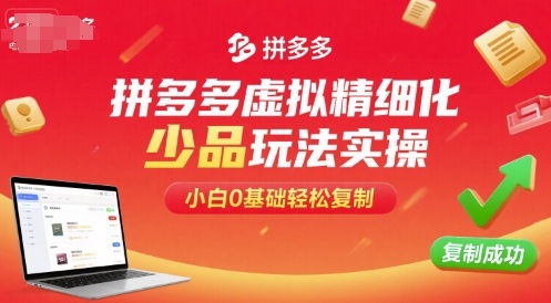 拼多多虚拟精细化少品玩法实操，小白0基础轻松复制-星禾网创星球