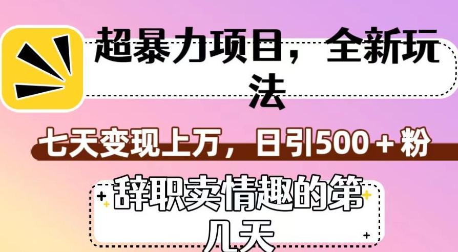 超暴利项目，全新玩法（辞职卖情趣的第几天），七天变现上万，日引500+粉【揭秘】-星禾网创星球