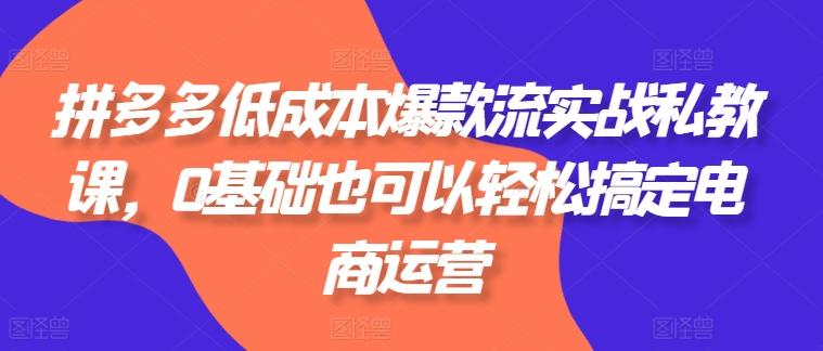 拼多多低成本爆款流实战私教课，0基础也可以轻松搞定电商运营-星禾网创星球