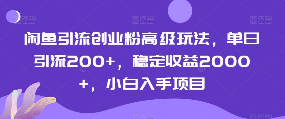 闲鱼引流创业粉高级玩法，单日引流200+，稳定收益2000+，小白入手项目-星禾网创星球
