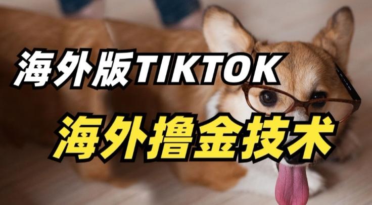 抖音海外版tiktok撸金技术，这个风口行业，赚钱真的不难【揭秘】-星禾网创星球