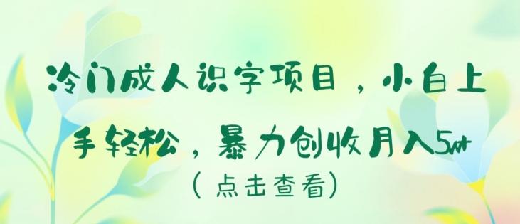 冷门成人识字项目，小白上手轻松，暴力创收月入5w+【揭秘】-星禾网创星球