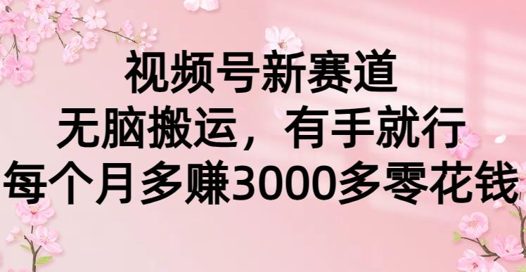 (9278期)视频号新赛道，无脑搬运，有手就行，每个月多赚3000多零花钱-星禾网创星球