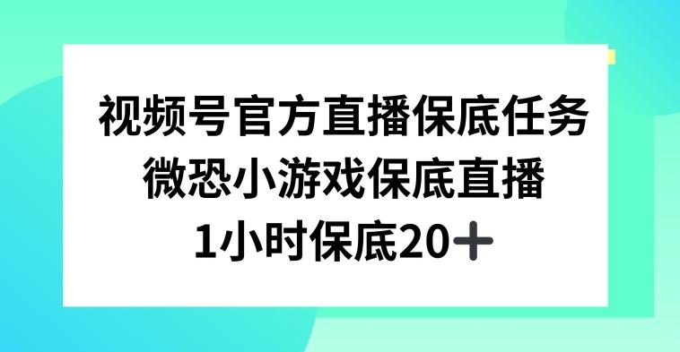 视频号直播任务，微恐小游戏，1小时20+【揭秘】-星禾网创星球