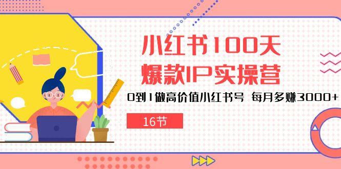 小红书100天-爆款IP实操营，0到1做高价值小红书号 每月多赚3000+(16节-星禾网创星球