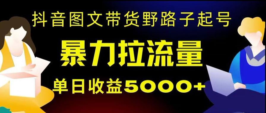 抖音图文带货暴力起号，单日收益5000+，野路子玩法，简单易上手，一部手机即可【揭秘】-星禾网创星球