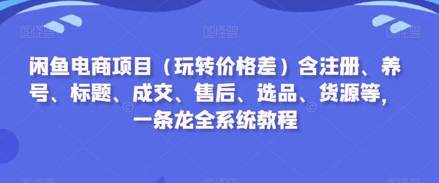 闲鱼电商项目(玩转价格差)含注册、养号、标题、成交、售后、选品、货源等，一条龙全系统教程-星禾网创星球