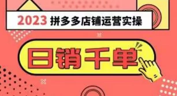 2023拼多多运营实操，每天30分钟日销1000＋，爆款选品技巧大全（10节课）-星禾网创星球